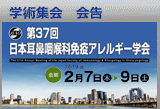 �w�p�W��